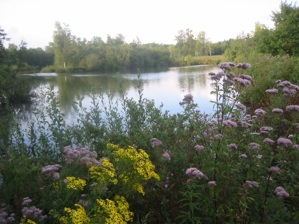 Fonds d'cran Voyages : Europe France > Picardie Les marais d'Isle  Saint-Quentin