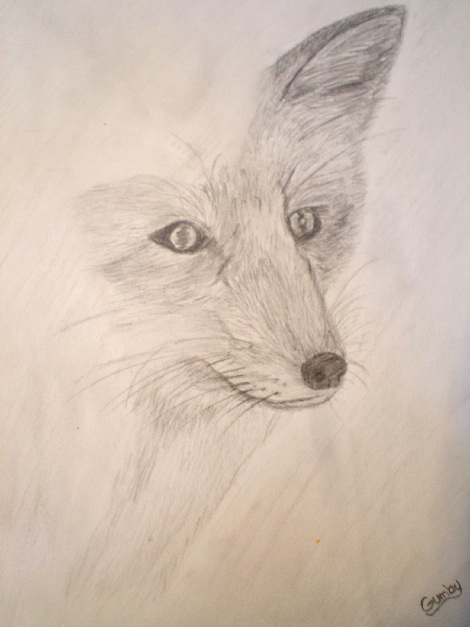 Wallpapers Art - Pencil Animals - Foxes Renard