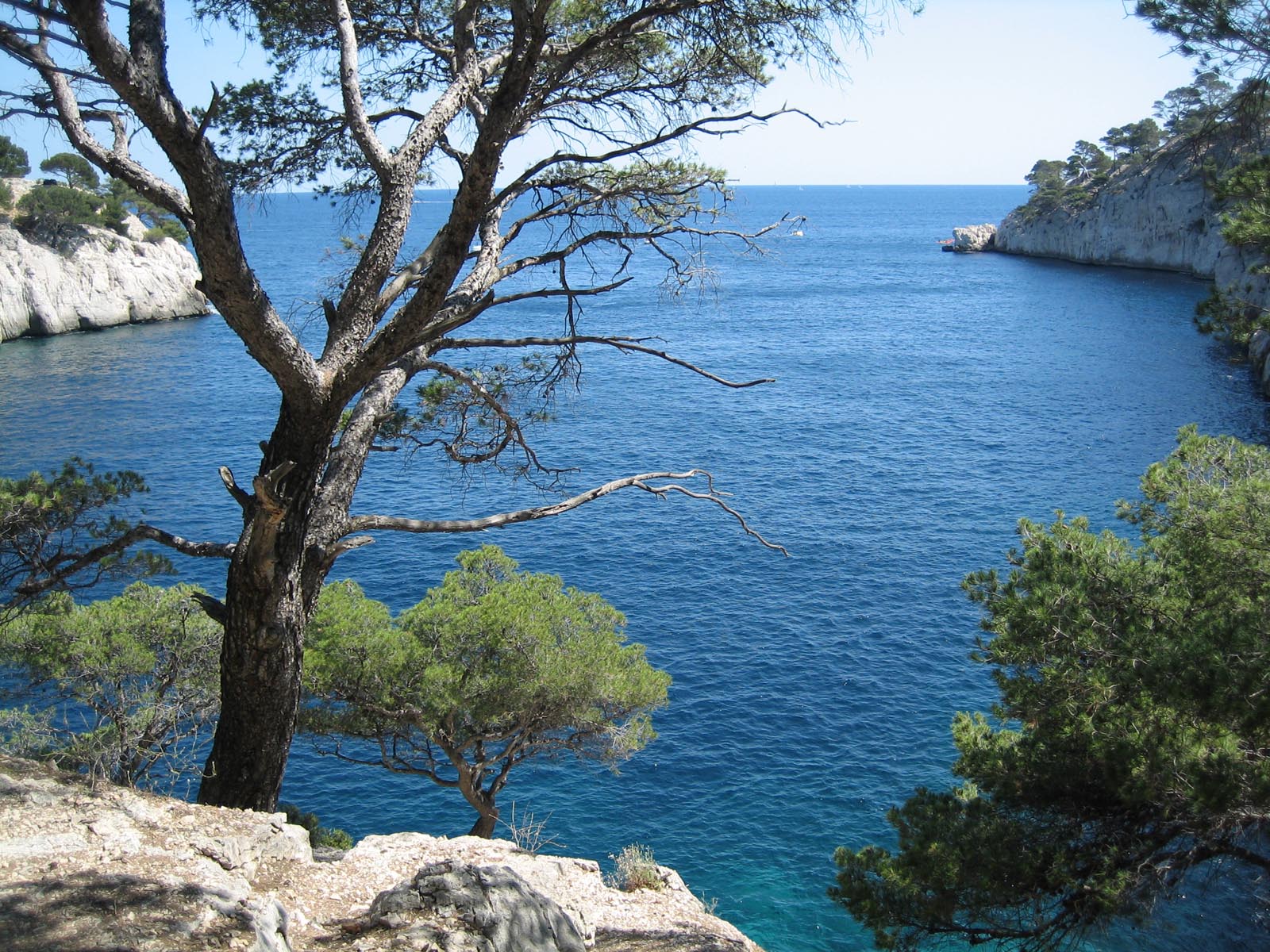 Wallpapers Nature Seas - Oceans - Beaches Une Calanque de Cassis (13)