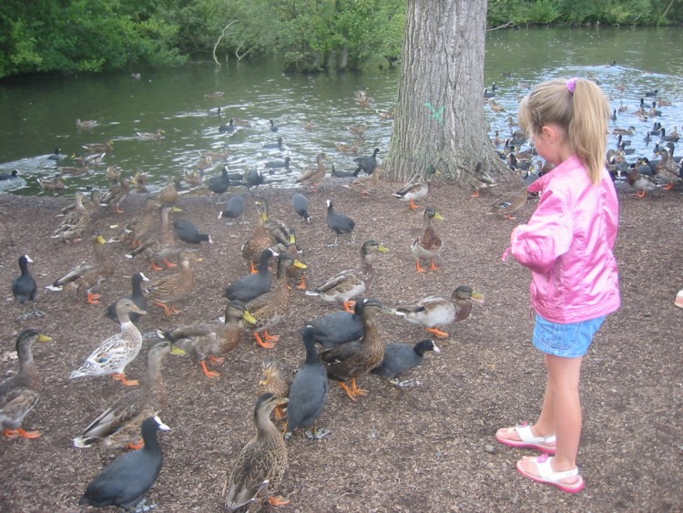 Fonds d'cran Hommes - Evnements Bbs - Enfants Margot et les canards