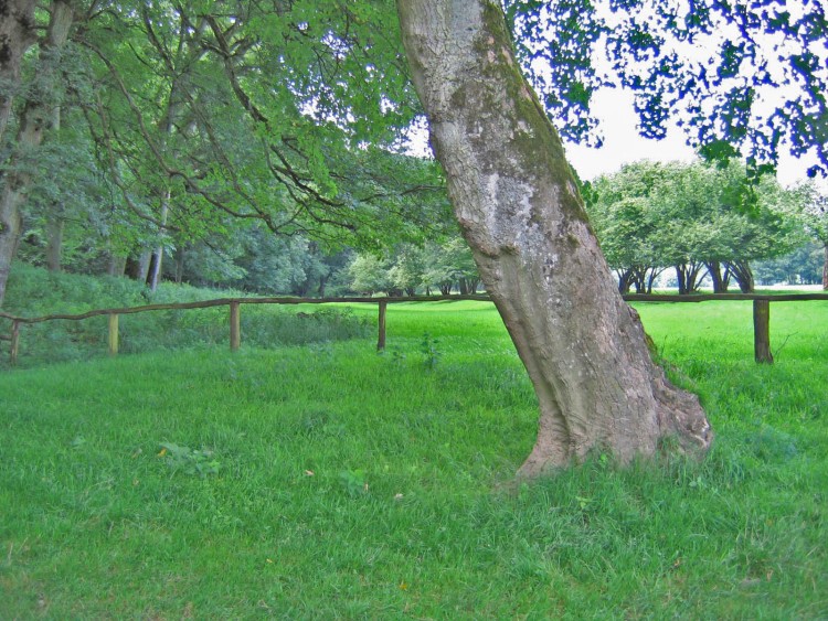 Fonds d'cran Nature Paysages Han-sur-lesse (Belgique)