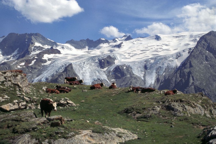 Fonds d'cran Nature Lacs - Etangs Les Ecrins