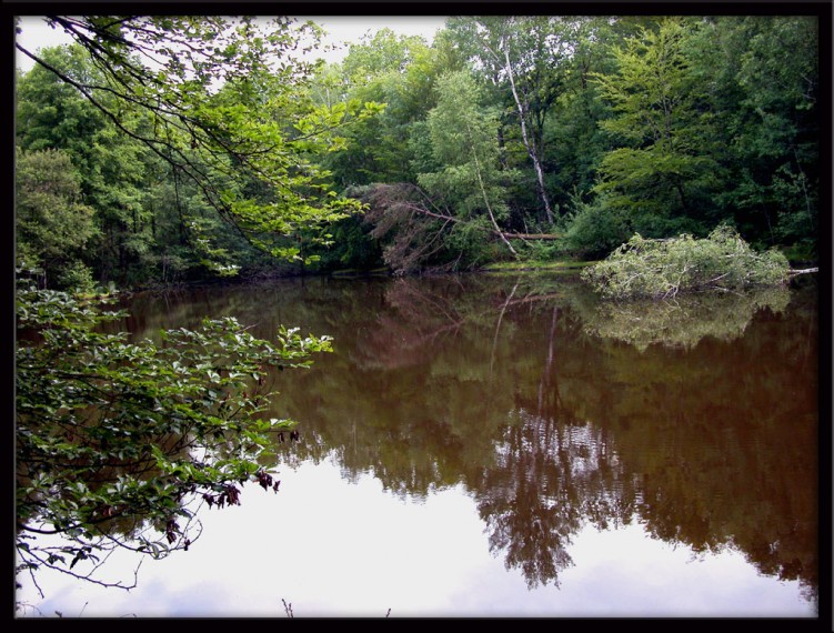 Fonds d'cran Nature Lacs - Etangs Etang