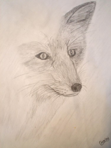 Wallpapers Art - Pencil Animals - Foxes Renard