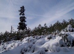 Fonds d'cran Nature Neige en Alsace