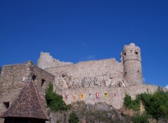 Fonds d'cran Constructions et architecture Chateau du Holandsbourg