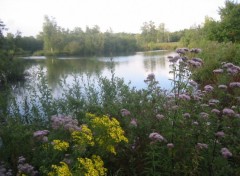 Fonds d'cran Voyages : Europe Les marais d'Isle  Saint-Quentin