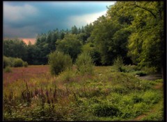 Fonds d'cran Nature Bord de rivire