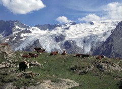 Fonds d'cran Nature Les Ecrins