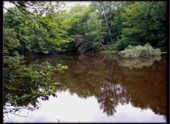 Fonds d'cran Nature Etang