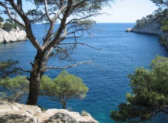 Wallpapers Nature Une Calanque de Cassis (13)