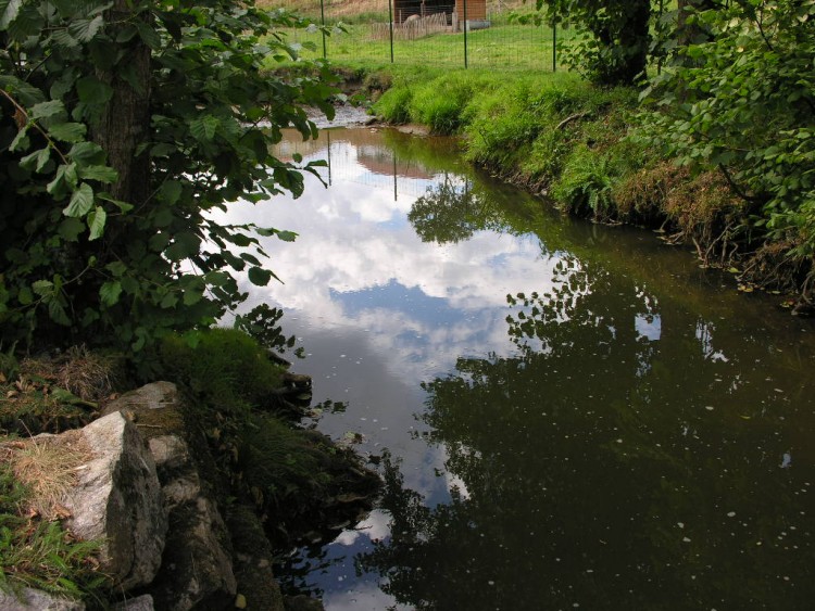 Fonds d'cran Nature Fleuves - Rivires - Torrents Reflets