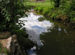 Fonds d'cran Nature Reflets