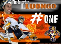 Wallpapers Sports - Leisures Roberto Luongo