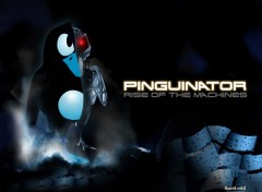 Fonds d'cran Informatique The Pinguinator | Rise of the machine
