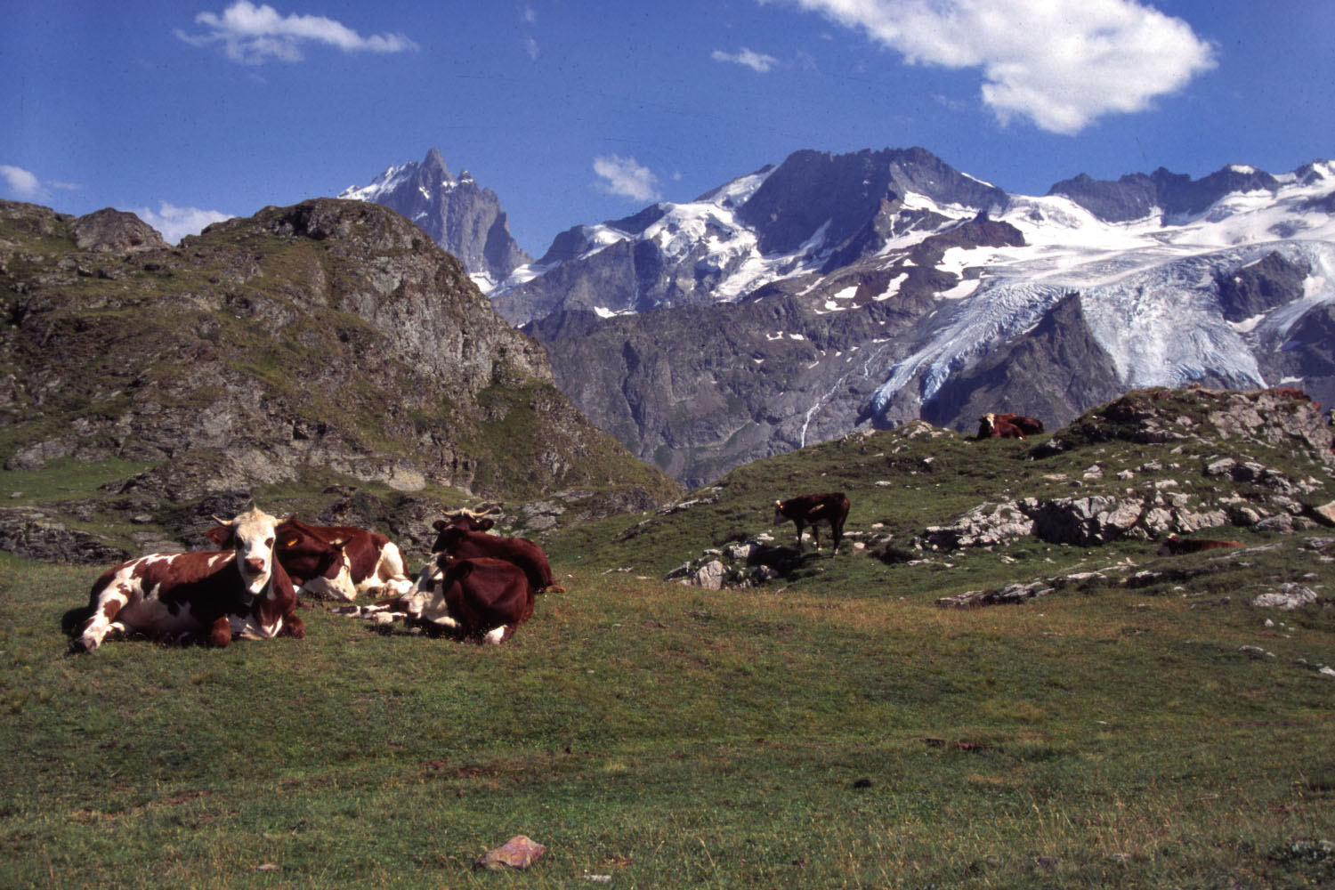 Wallpapers Nature Mountains Les Ecrins