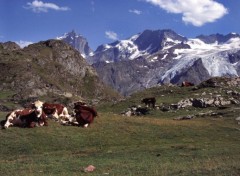 Wallpapers Nature Les Ecrins