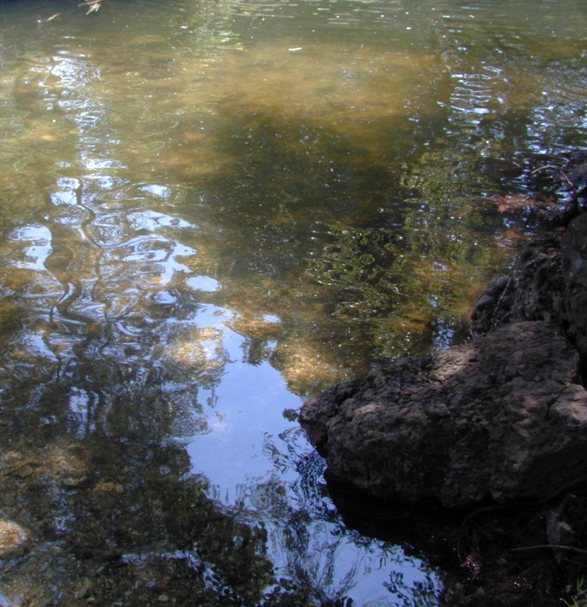 Wallpapers Nature Water - Reflection Reflets