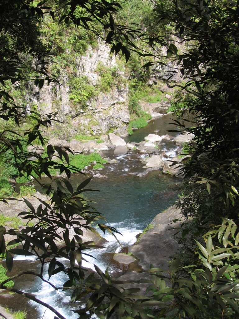 Fonds d'cran Nature Fleuves - Rivires - Torrents douceur runionnaise