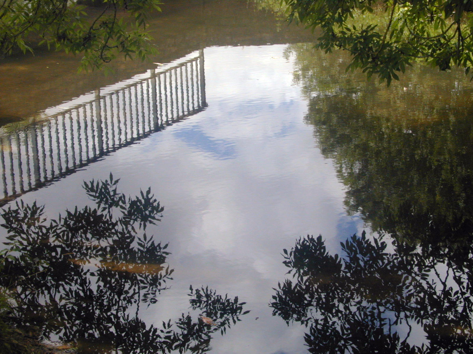 Wallpapers Nature Water - Reflection Reflets