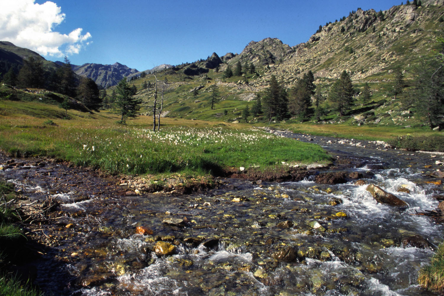 Fonds d'cran Nature Fleuves - Rivires - Torrents Le Brianonnais