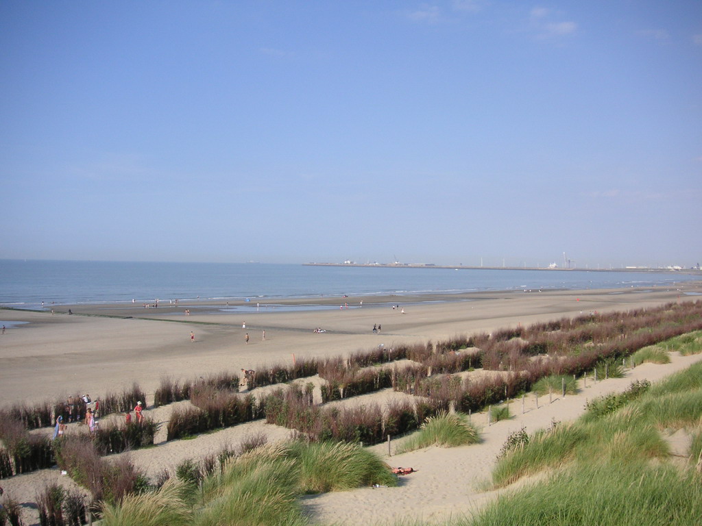 Fonds d'cran Nature Mers - Ocans - Plages mer et dune