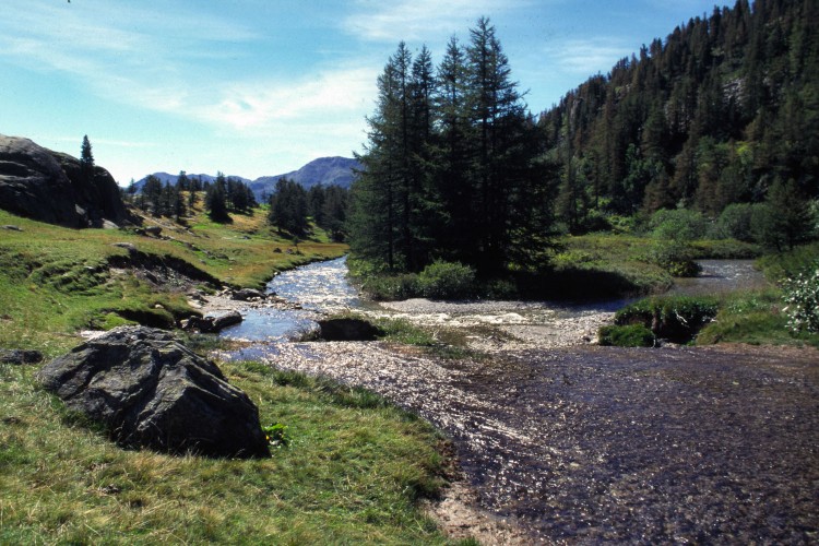 Fonds d'cran Nature Fleuves - Rivires - Torrents Le Brianonnais