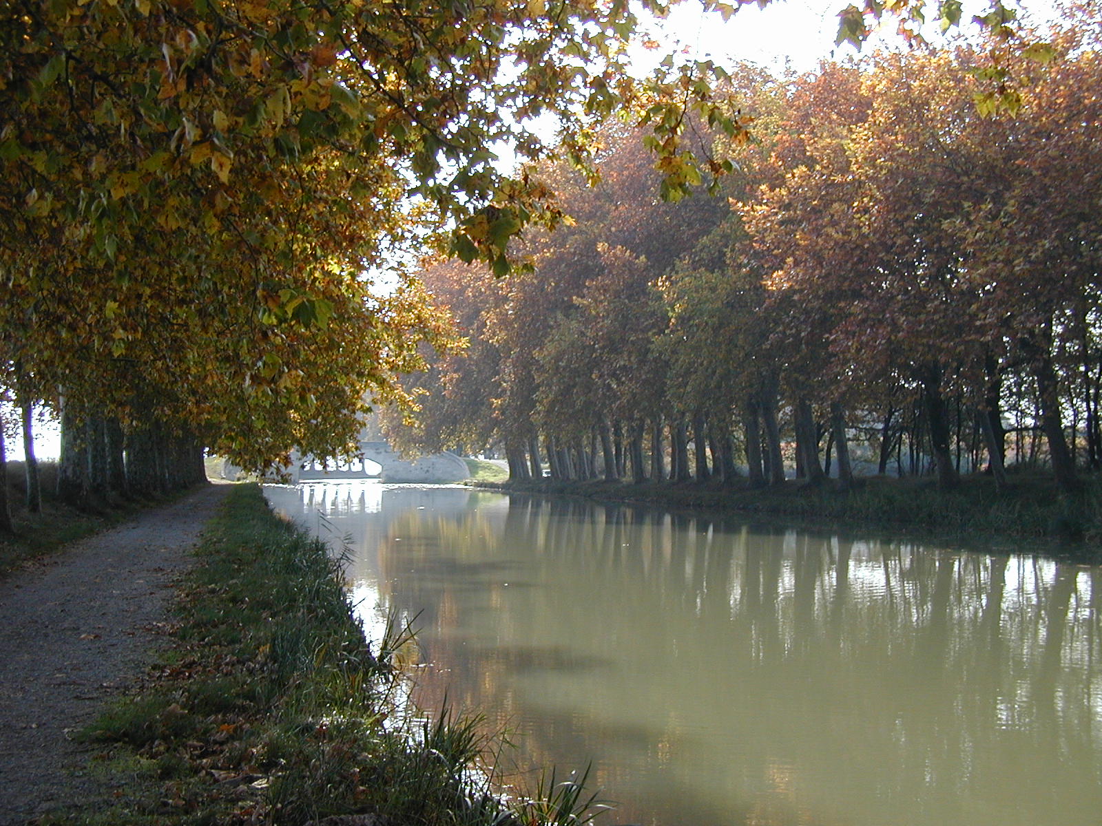 Fonds d'cran Nature Fleuves - Rivires - Torrents Languedoc/Roussillon