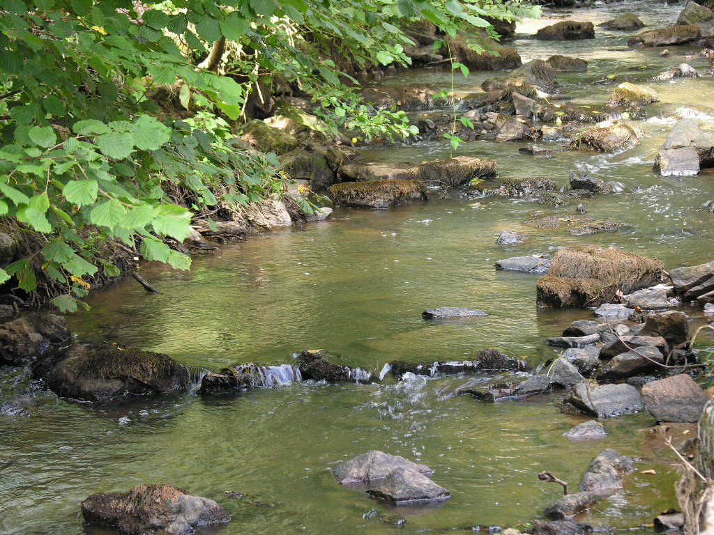 Fonds d'cran Nature Fleuves - Rivires - Torrents 