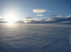 Fonds d'cran Nature hiver en Alberta