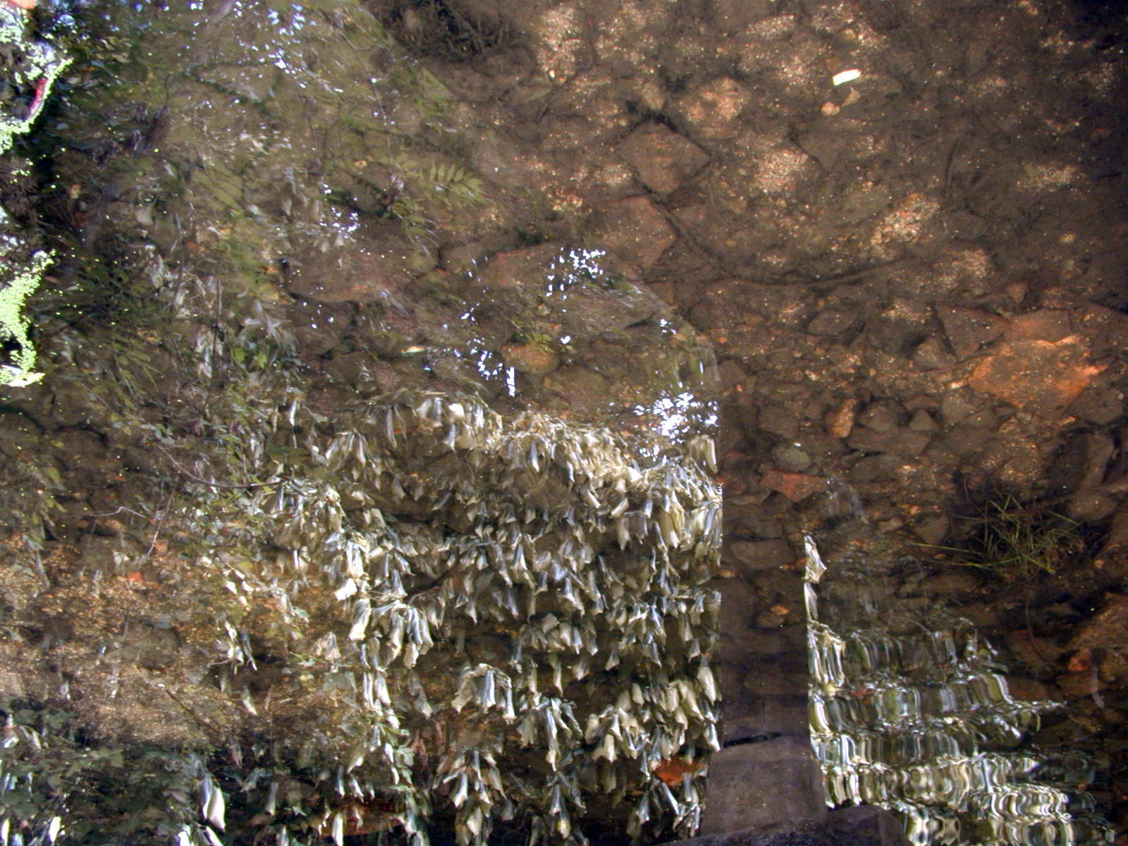 Wallpapers Nature Water - Reflection Reflets