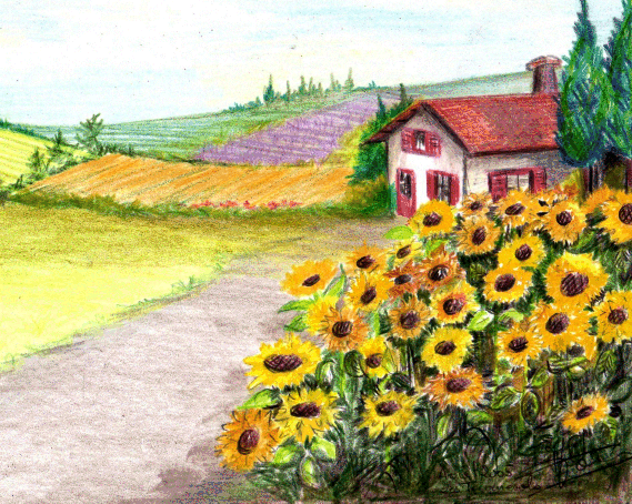 Fonds d'cran Art - Crayon Paysages les tournesols