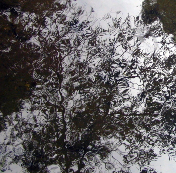 Wallpapers Nature Water - Reflection Reflets