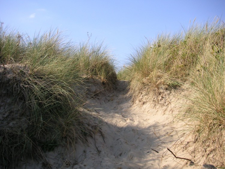 Wallpapers Nature Seas - Oceans - Beaches dune mer du nord