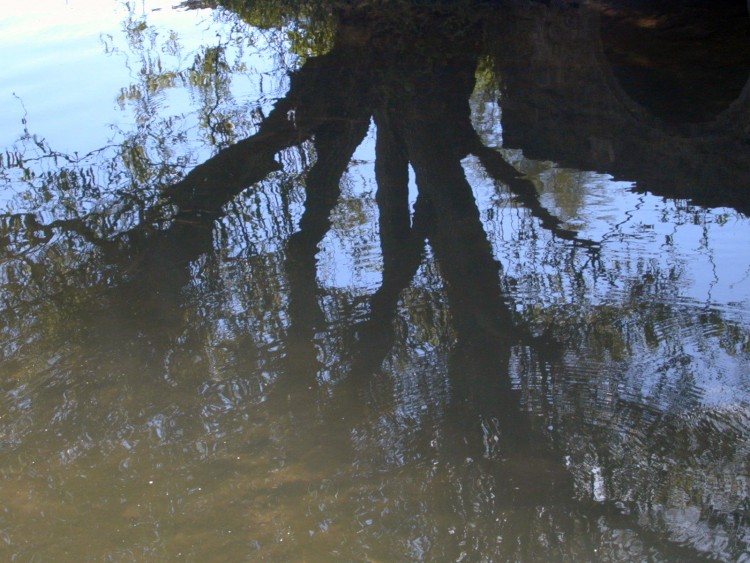 Wallpapers Nature Water - Reflection Reflets