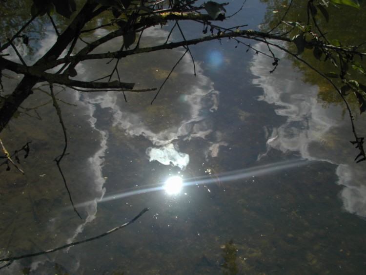 Wallpapers Nature Water - Reflection Reflets