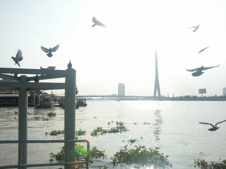 Fonds d'cran Voyages : Asie Thalande pont bankok oiseau