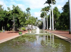 Fonds d'cran Nature entre du jardin de l'tat