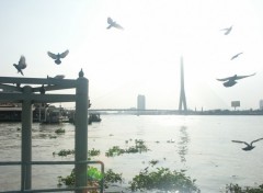 Fonds d'cran Voyages : Asie pont bankok oiseau