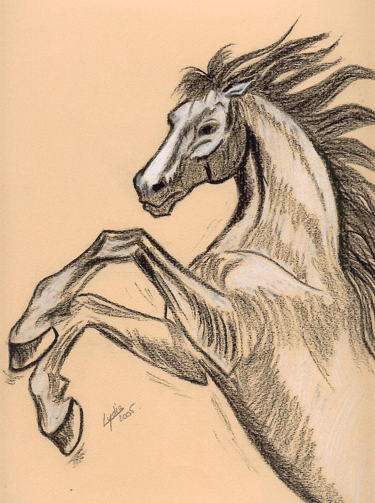 Wallpapers Art - Pencil Animals - Horses Cheval