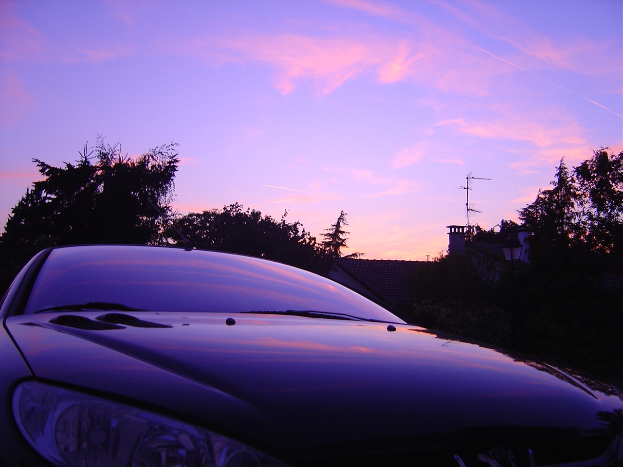 Wallpapers Cars Peugeot 206 noir aux reflets roses (2)