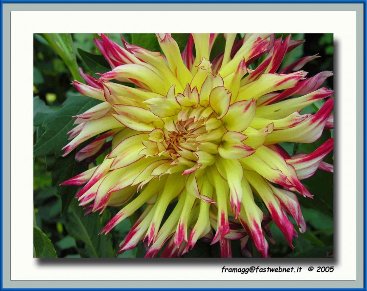 Fonds d'cran Nature Fleurs Fiore - Villa Taranto - Italy