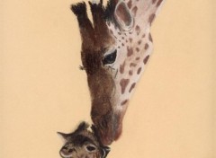 Wallpapers Art - Pencil Girafe et son petit