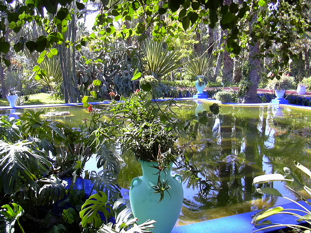 Wallpapers Nature Parks - Gardens Le Jardin Majorelle