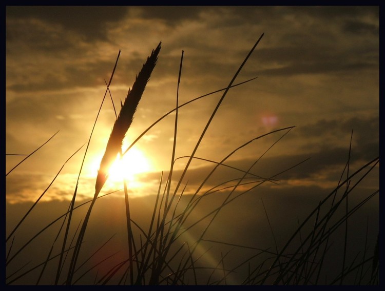 Wallpapers Nature Sunsets and sunrises lever du jour ds les landes