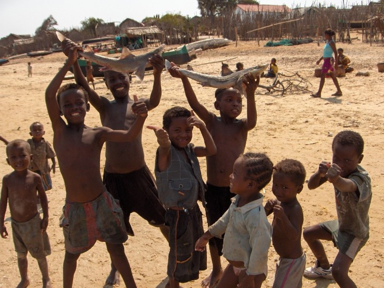 Fonds d'cran Voyages : Afrique Madagascar Les trophes des jeunes Vzos