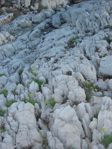 Wallpapers Nature Rocks - Stones - Sand Sol Rocheux