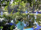 Wallpapers Nature Le Jardin Majorelle