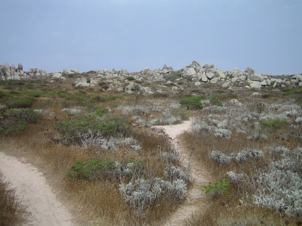 Fonds d'cran Voyages : Europe France > Corse Iles Lavezzi, Sud Corse