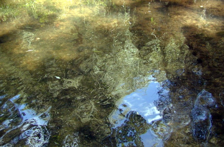 Wallpapers Nature Water - Reflection Reflets